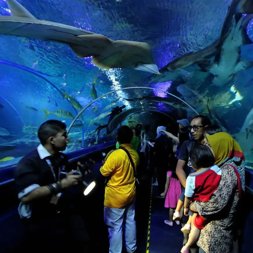 Visitors enjoying marine life at Aquaria KLCC