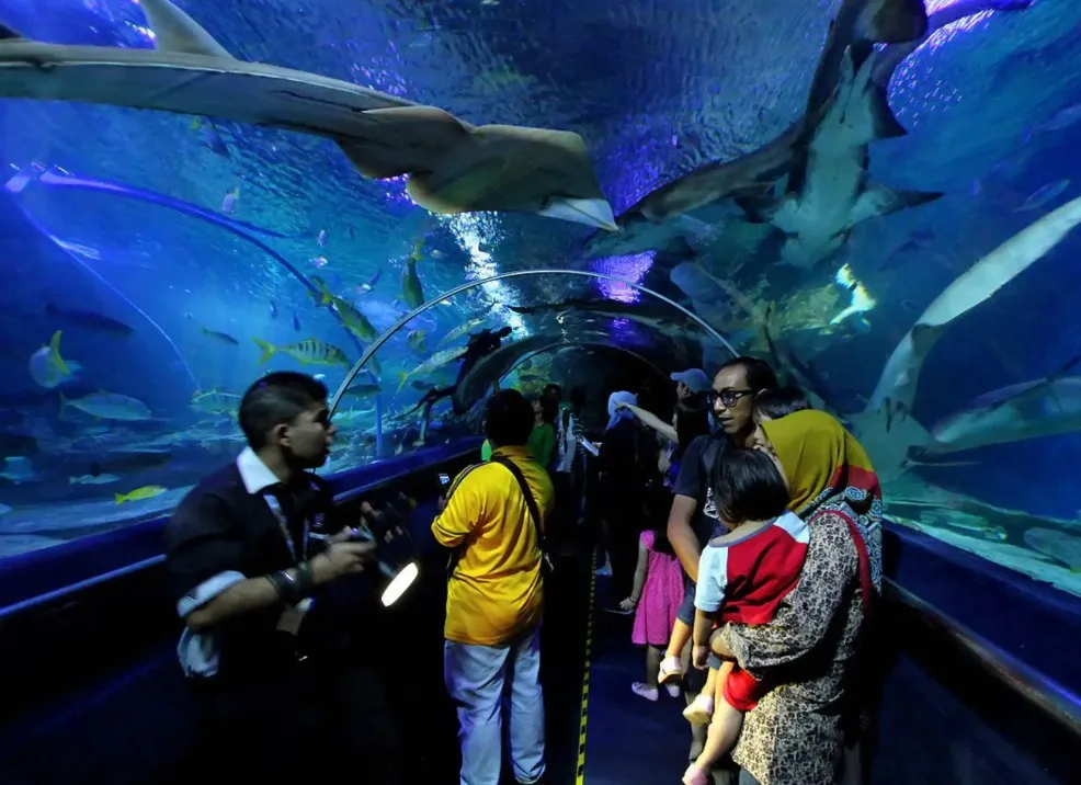 Visitors enjoying marine life at Aquaria KLCC